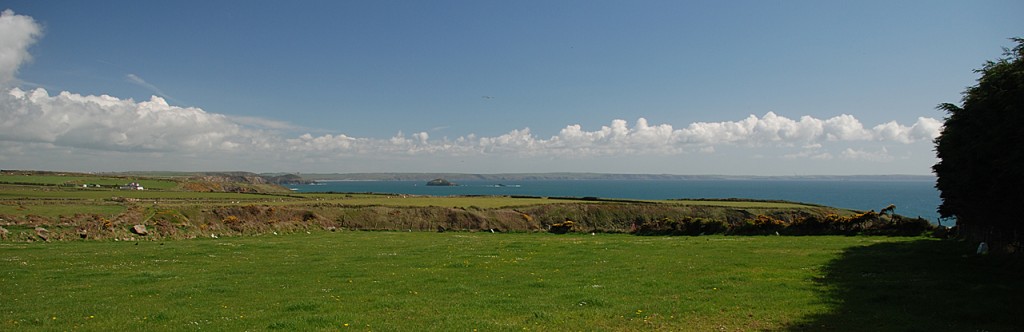 DSC_2207