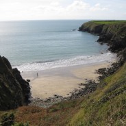 One man and his campervan comes to Caerfai Farm campsite!!